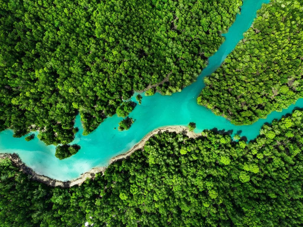 Torrent Capital Reports Final Q3 2025 Financial Results - Torrent Capital