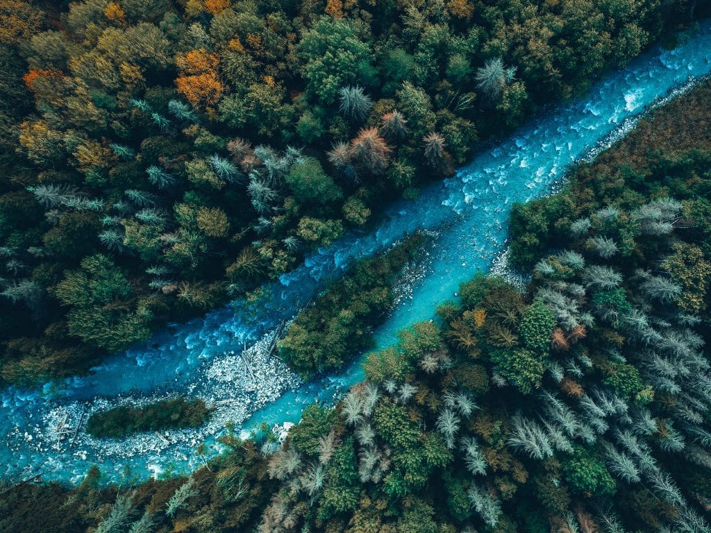 Torrent Capital Announces November Portfolio and Net Asset Value (NAV) Update - Torrent Capital