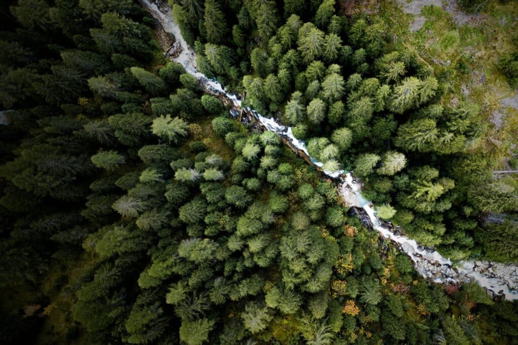 Torrent Capital Reports Preliminary Q4 and Year-End 2025 Financial Results and Net Asset Value (NAV) Update - Torrent Capital - Blockchain