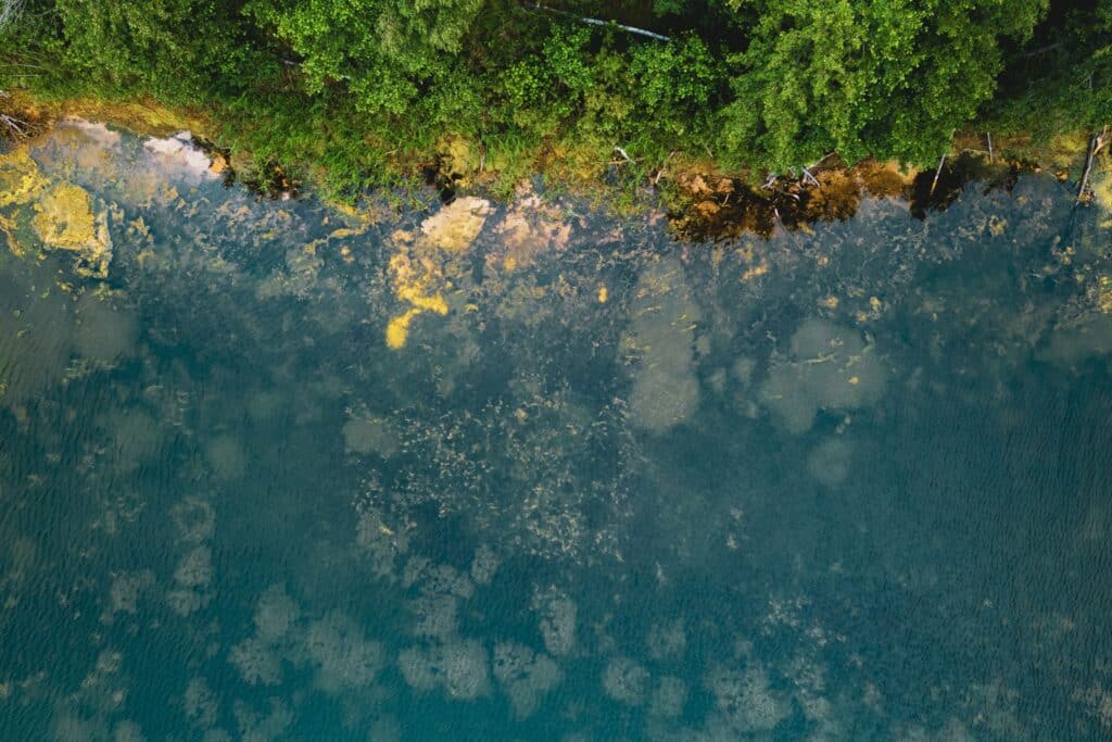 Torrent Capital Provides Preliminary January Portfolio and NAV Update - Torrent Capital - Blockchain