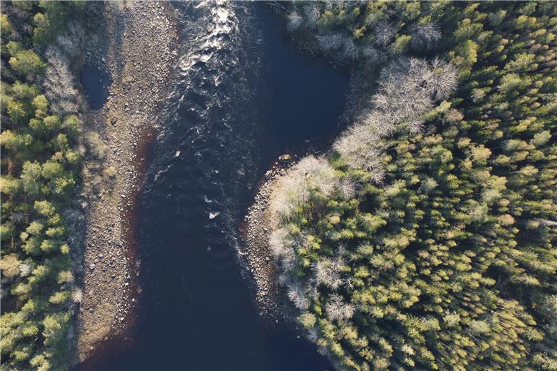 Torrent Capital Provides Preliminary February Net Asset Value (NAV) and Portfolio Update